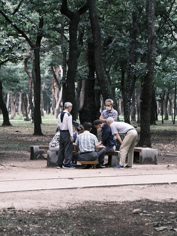 A group of elderly people gather around a table in a park setting, surrounded by tall trees. They seem engaged in a social activity such as a game or discussion. The setting is serene with lush greenery and a pathway in the foreground.