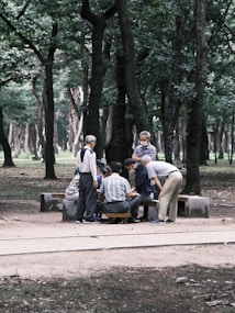 A group of elderly people gather around a table in a park setting, surrounded by tall trees. They seem engaged in a social activity such as a game or discussion. The setting is serene with lush greenery and a pathway in the foreground.