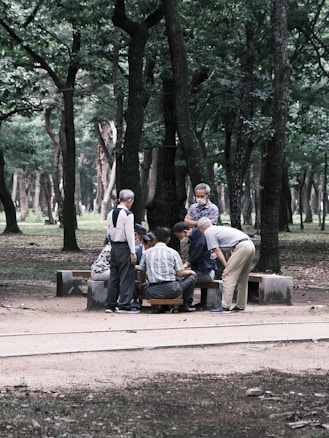 A group of elderly people gather around a table in a park setting, surrounded by tall trees. They seem engaged in a social activity such as a game or discussion. The setting is serene with lush greenery and a pathway in the foreground.