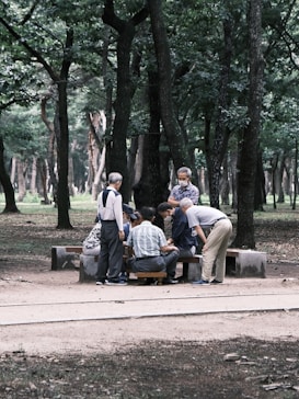 A group of elderly people gather around a table in a park setting, surrounded by tall trees. They seem engaged in a social activity such as a game or discussion. The setting is serene with lush greenery and a pathway in the foreground.