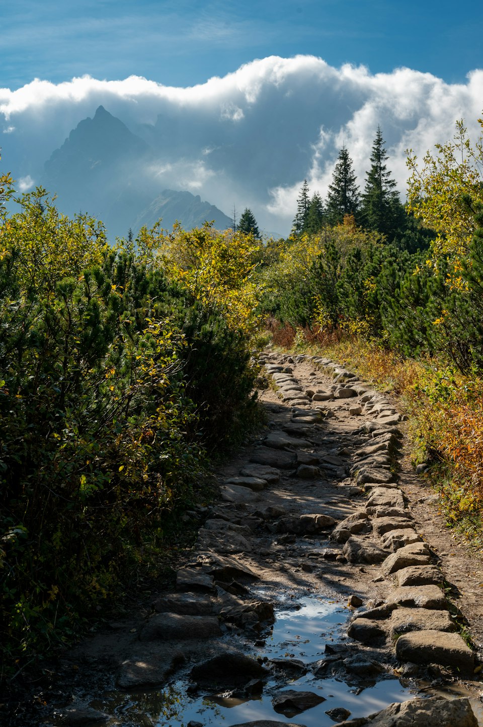Stone-paved mountain trail leading toward a distant Tatra peak through autumn shrubs