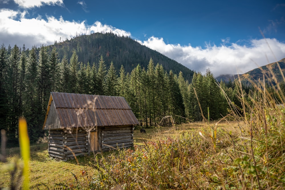 a small log cabin in the middle of a forest