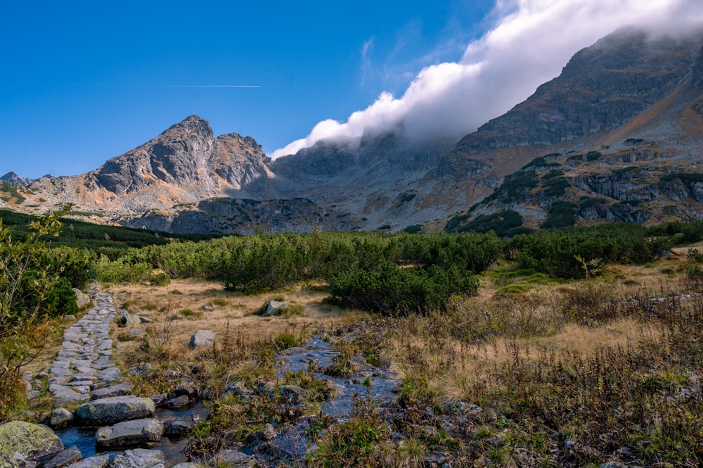 a rocky path leading to a mountain range