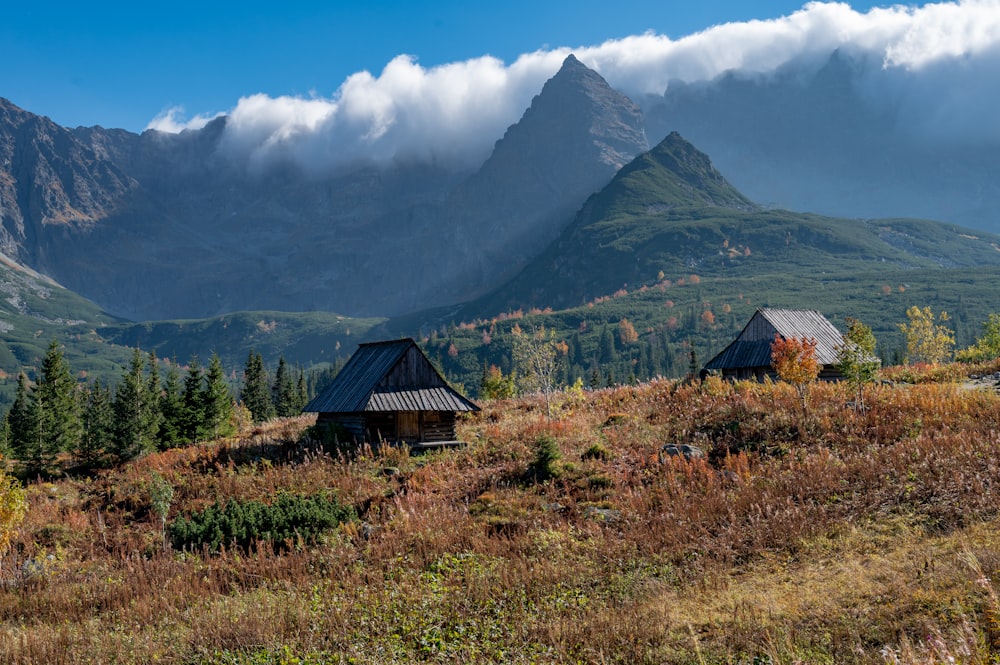 a couple of small houses sitting on top of a lush green hillside