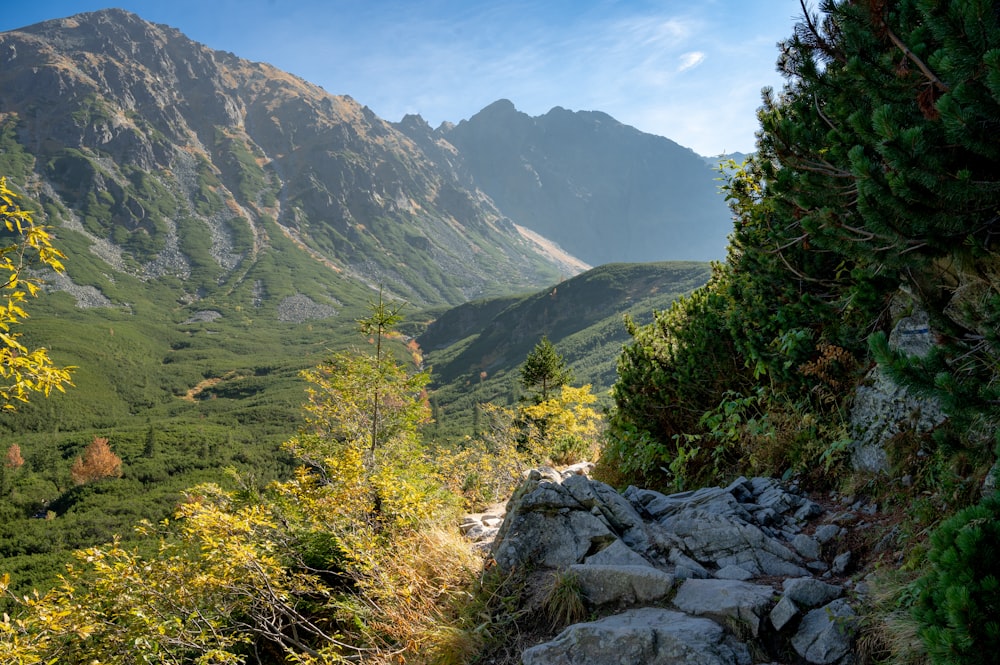 a view of a mountain range from a trail