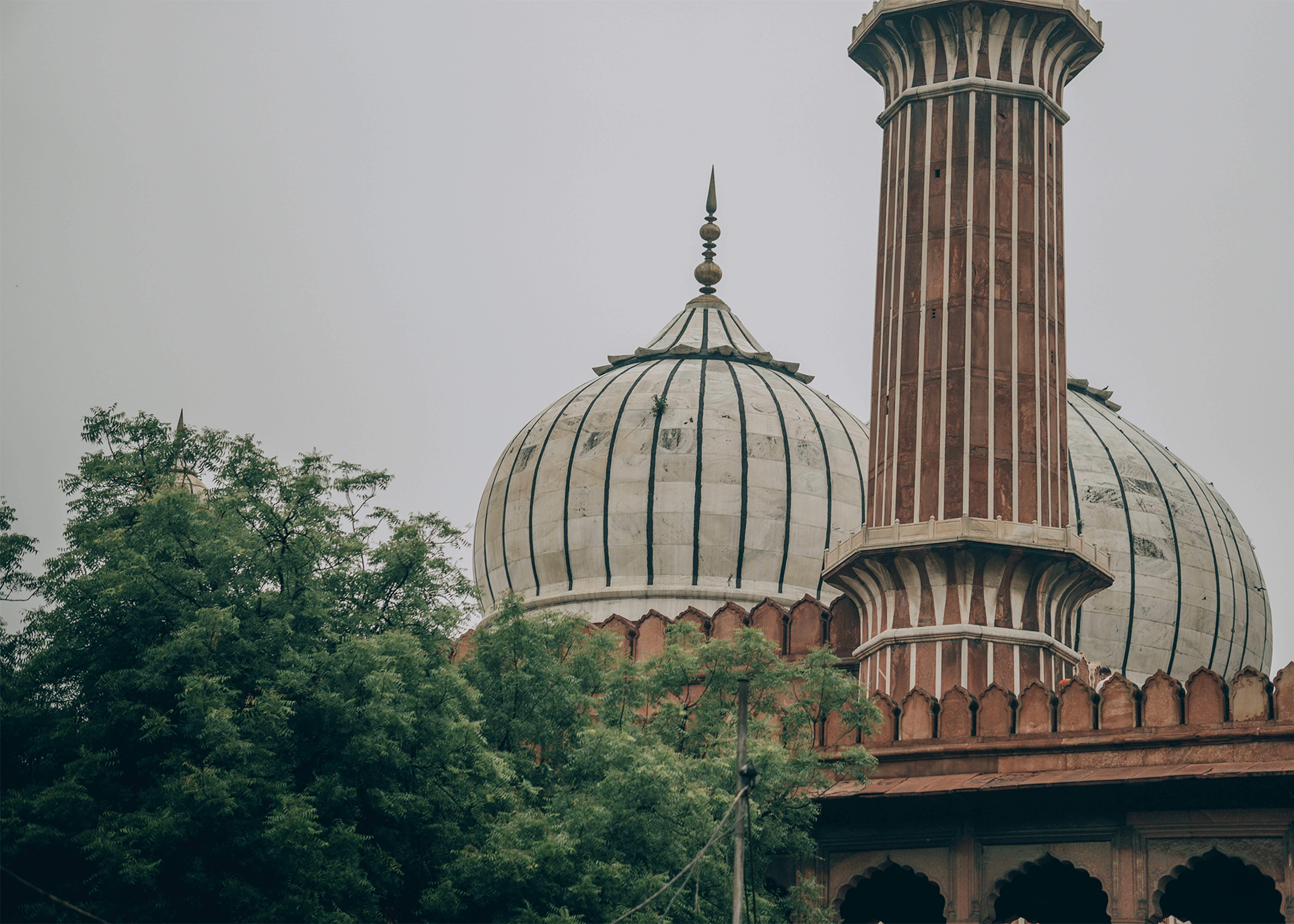 photo-1633268204545-3600e8a27c5a?ixid=M3