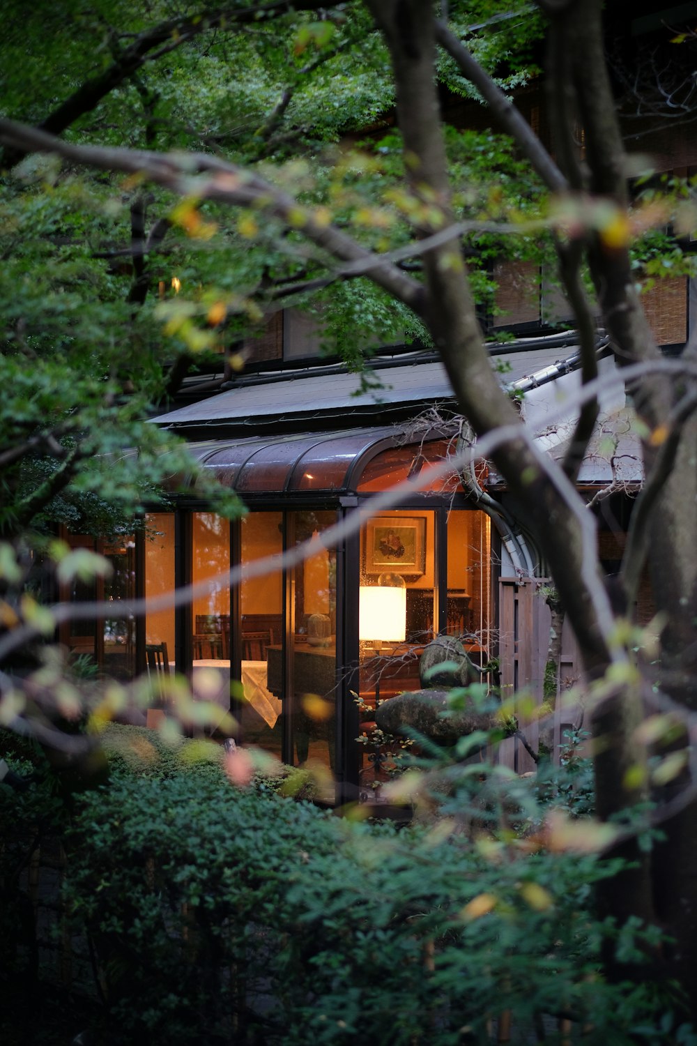 a small house sitting in the middle of a forest