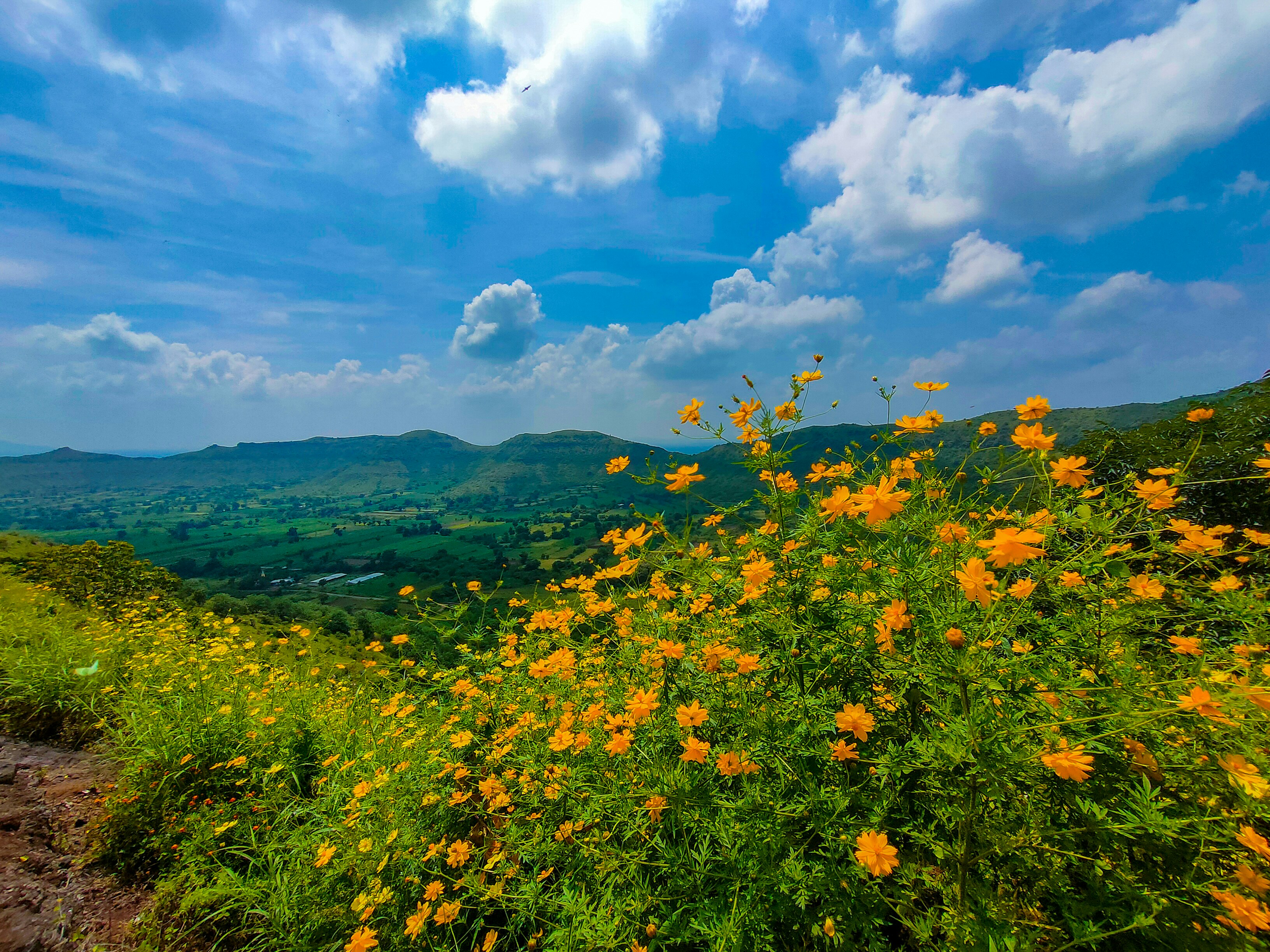 Photo by pprathameshmore