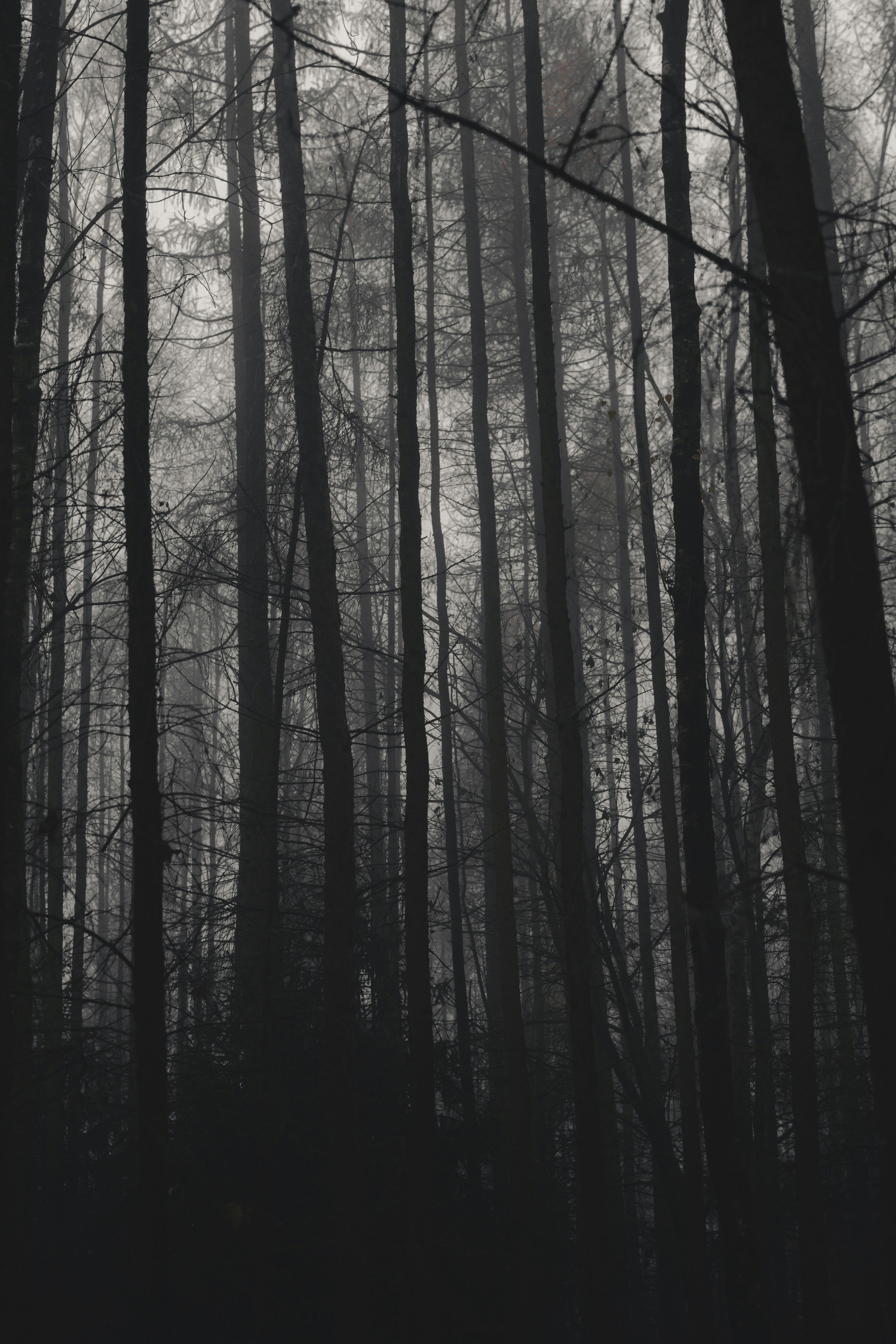 Photo by groundedinc