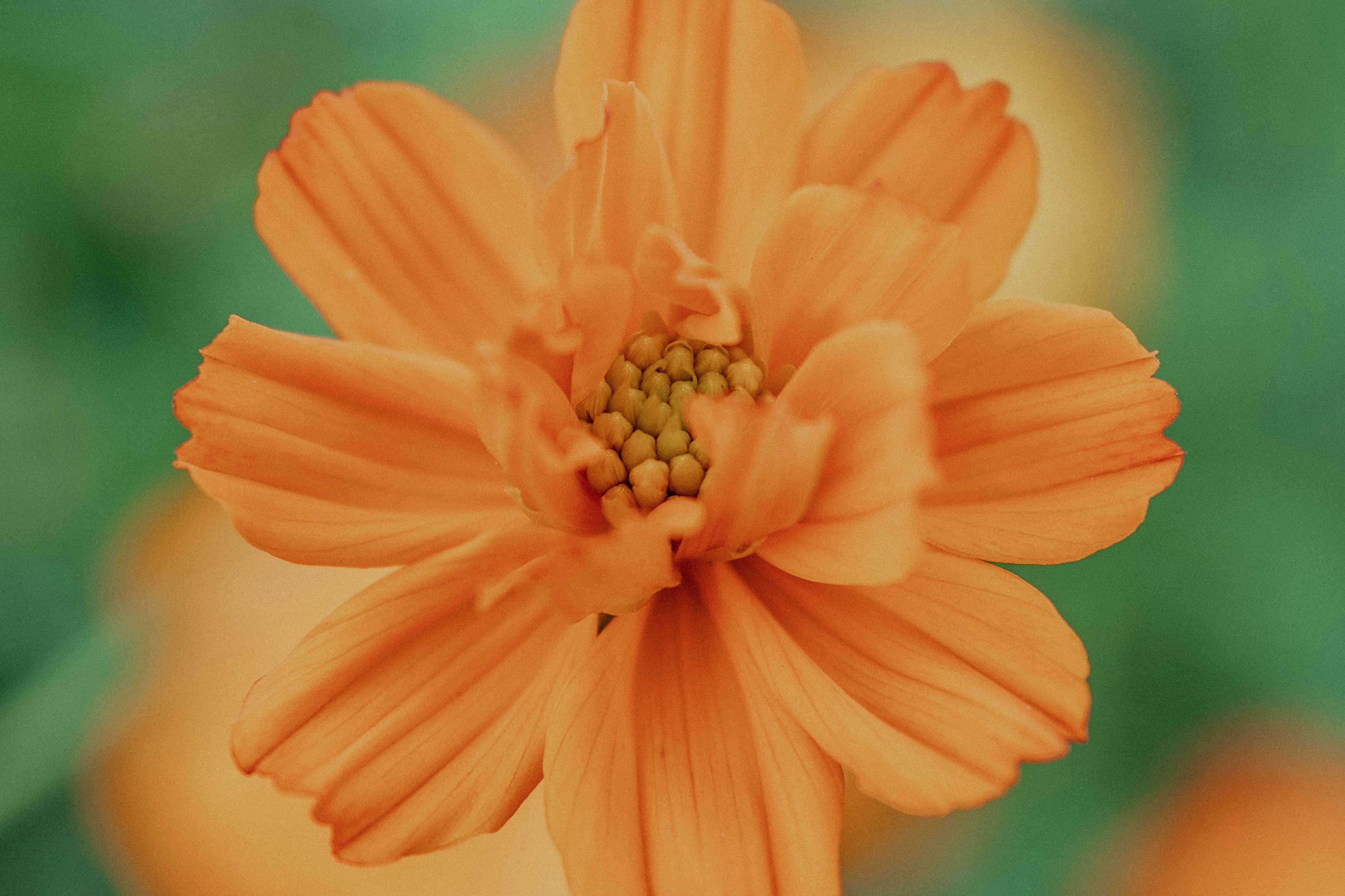 Photo by mbuff