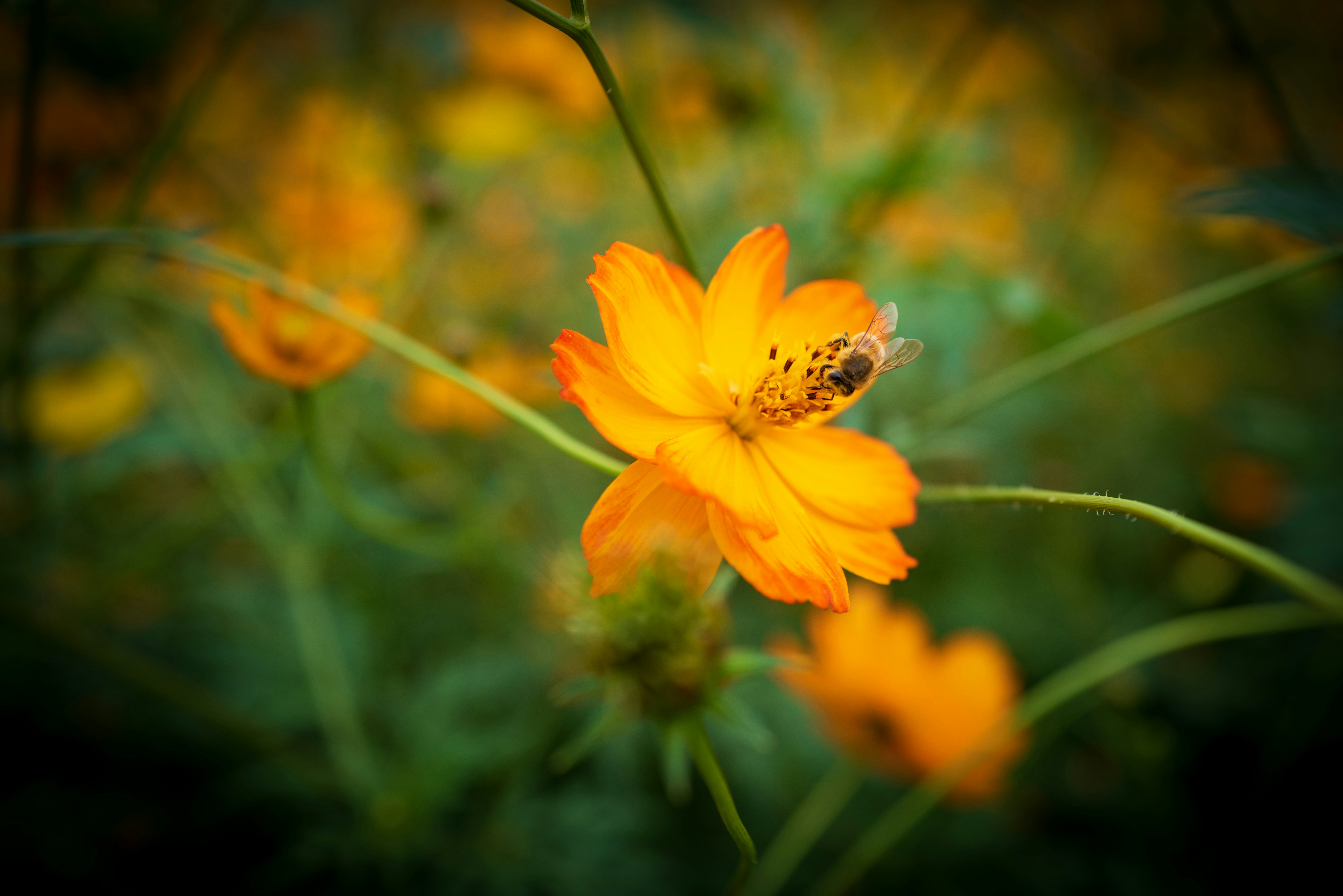 Photo by mbuff