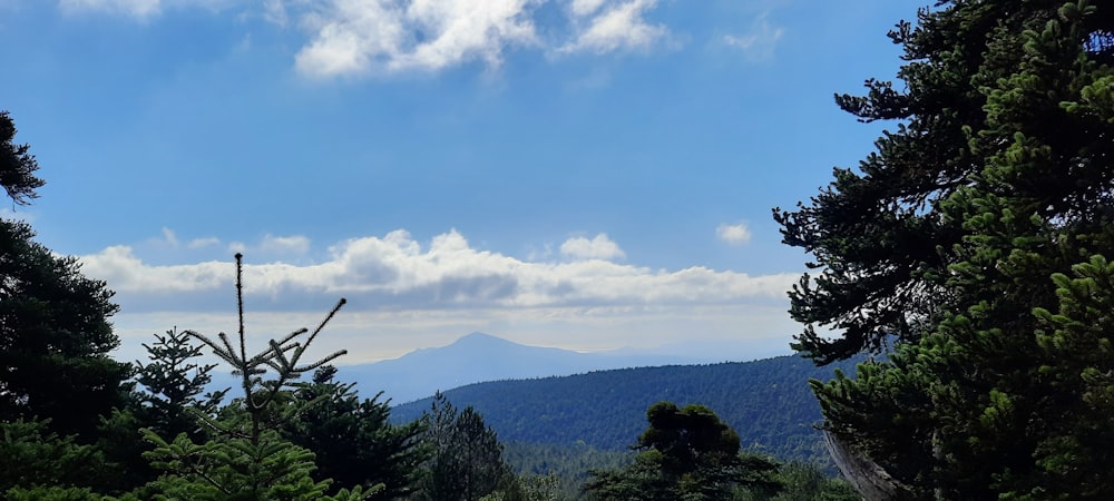 a view of a mountain range through some trees