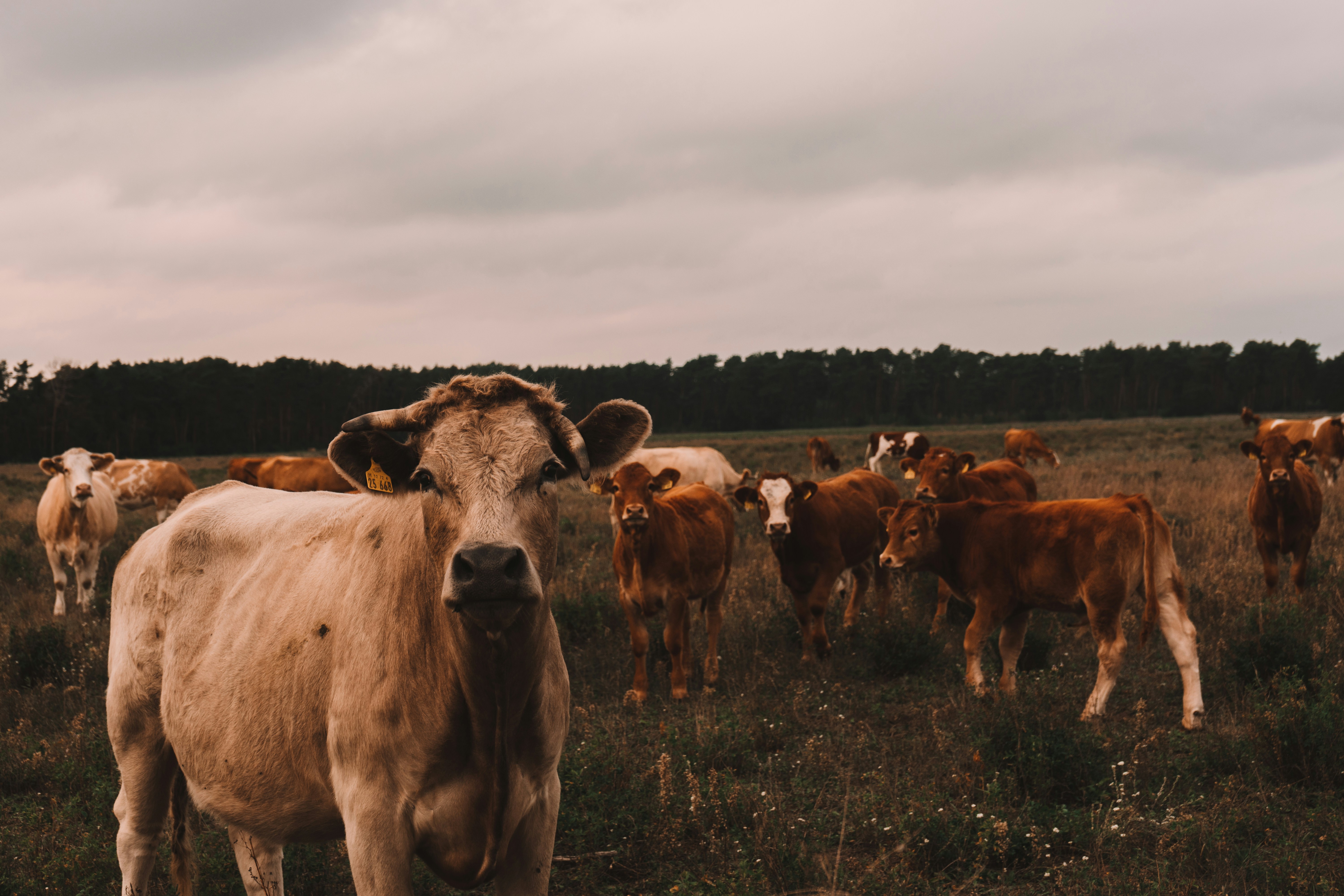 Photo by michellemirabell