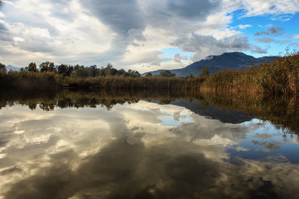 a body of water surrounded by trees and clouds