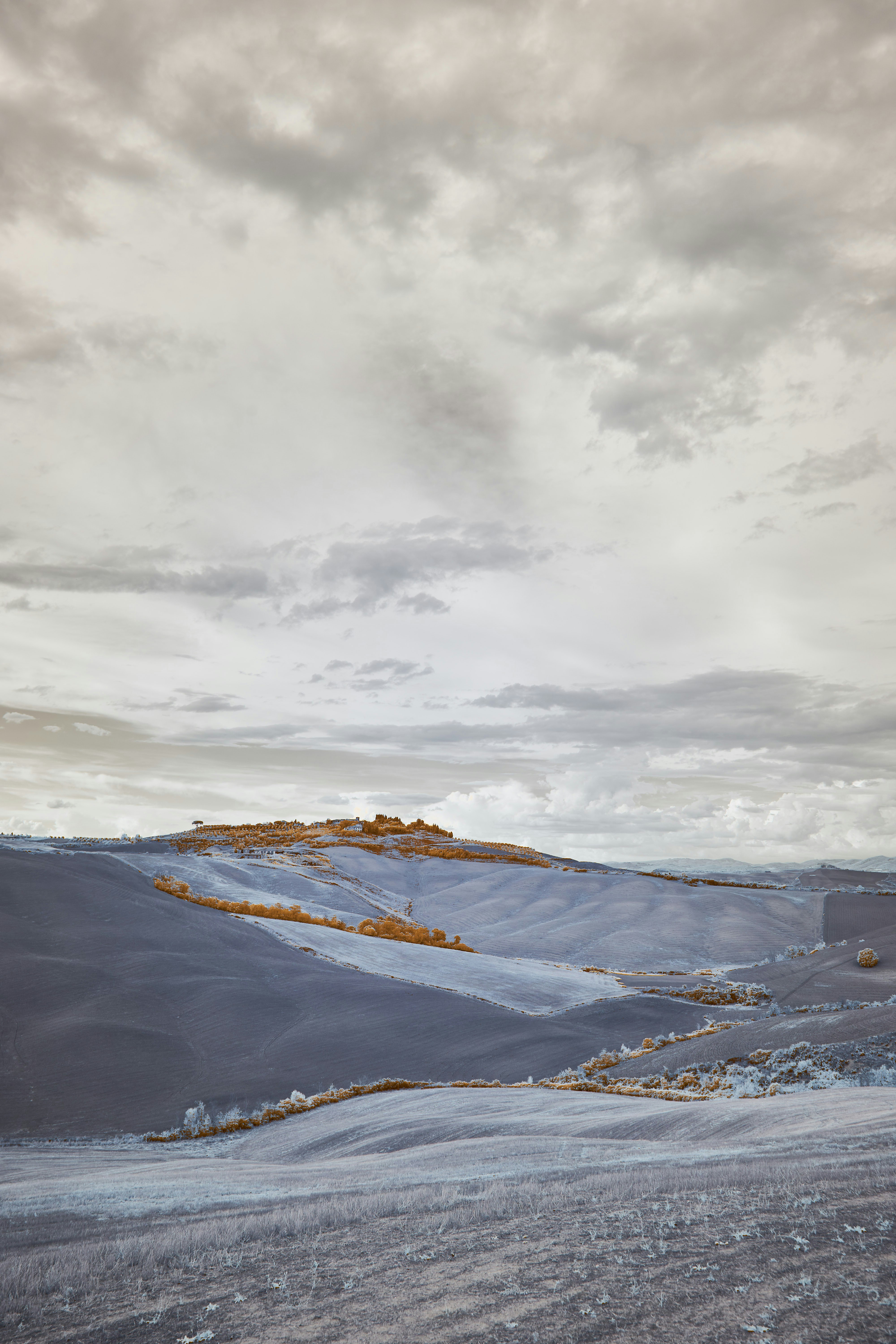 Photo by wolfgang_hasselmann