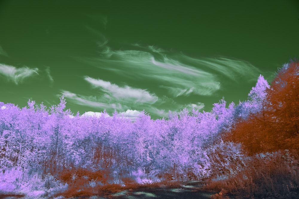 an infrared image of trees and clouds in the sky