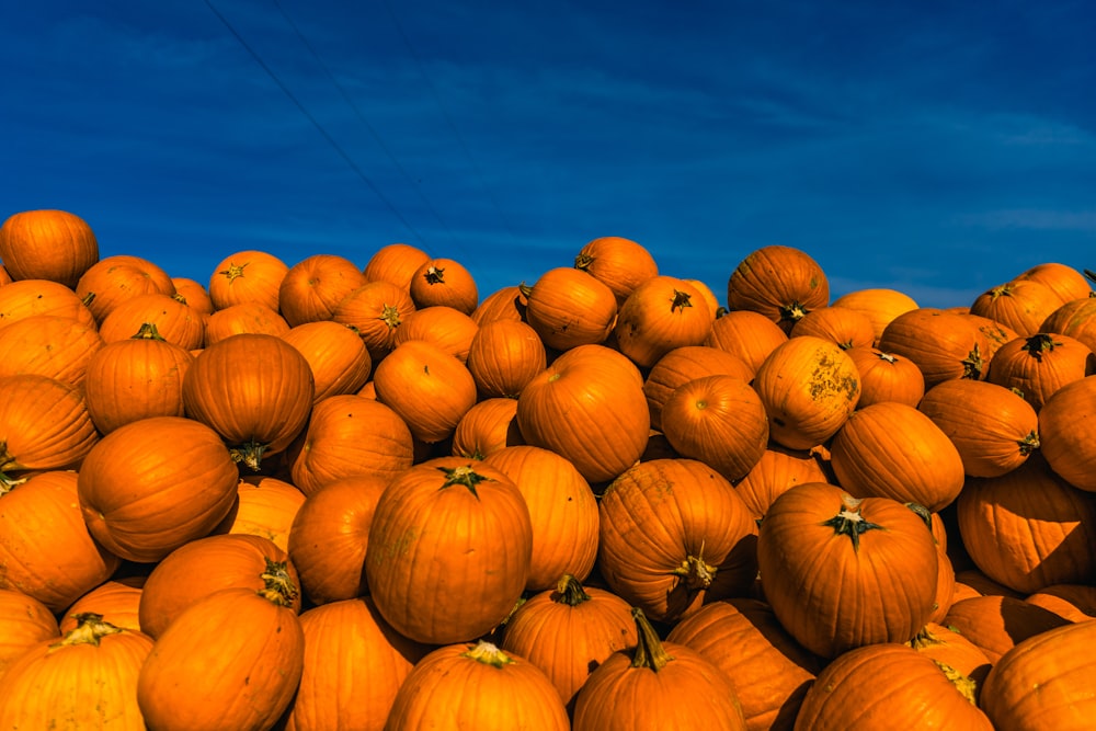 a pile of pumpkins sitting on top of each other