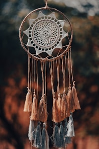 a dream catcher hanging from a rope with tassels