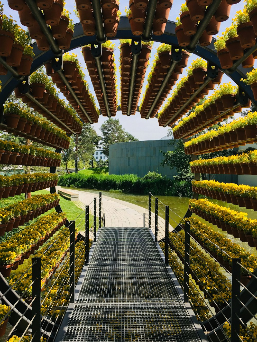 a walkway lined with lots of potted plants