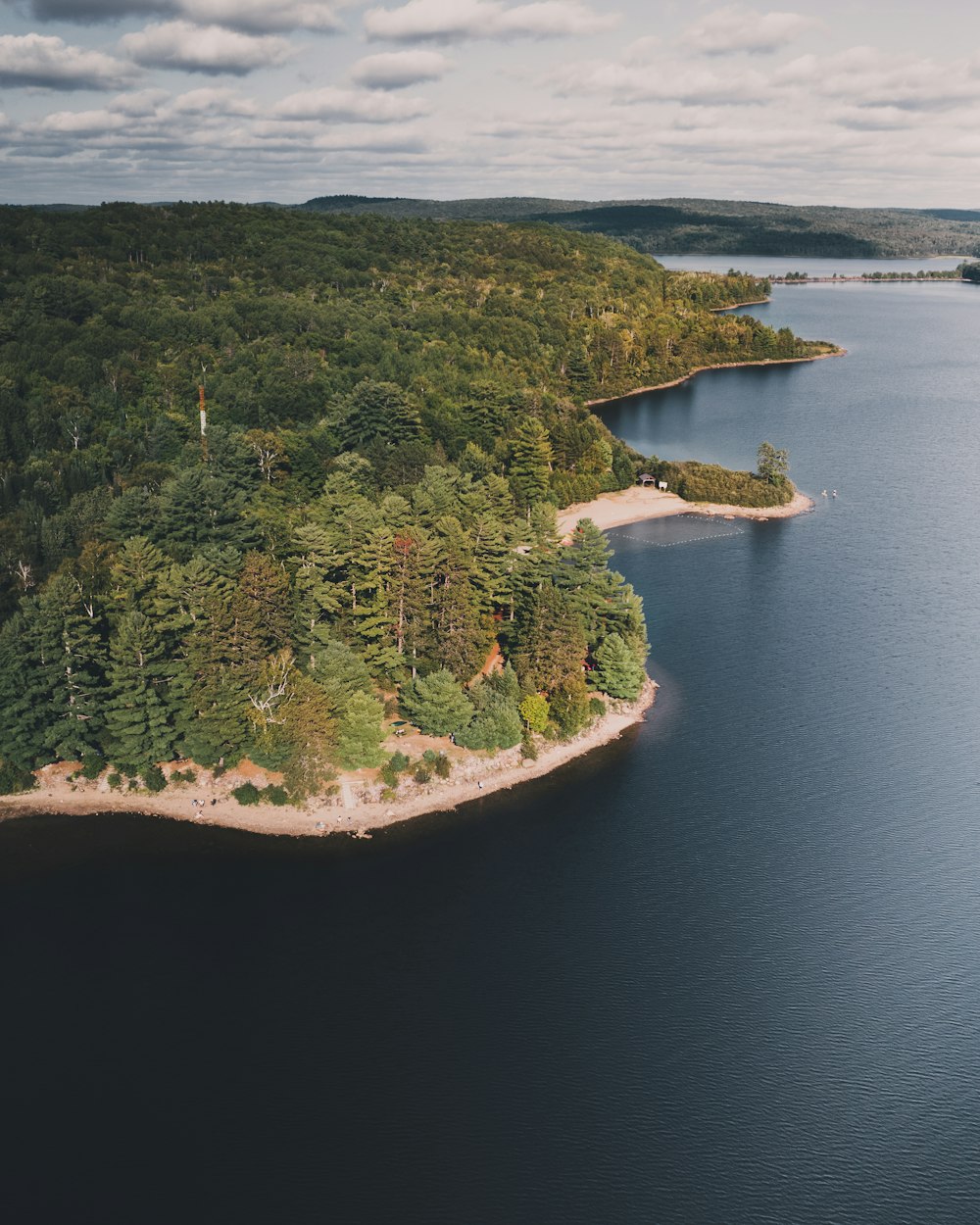 a large body of water surrounded by trees