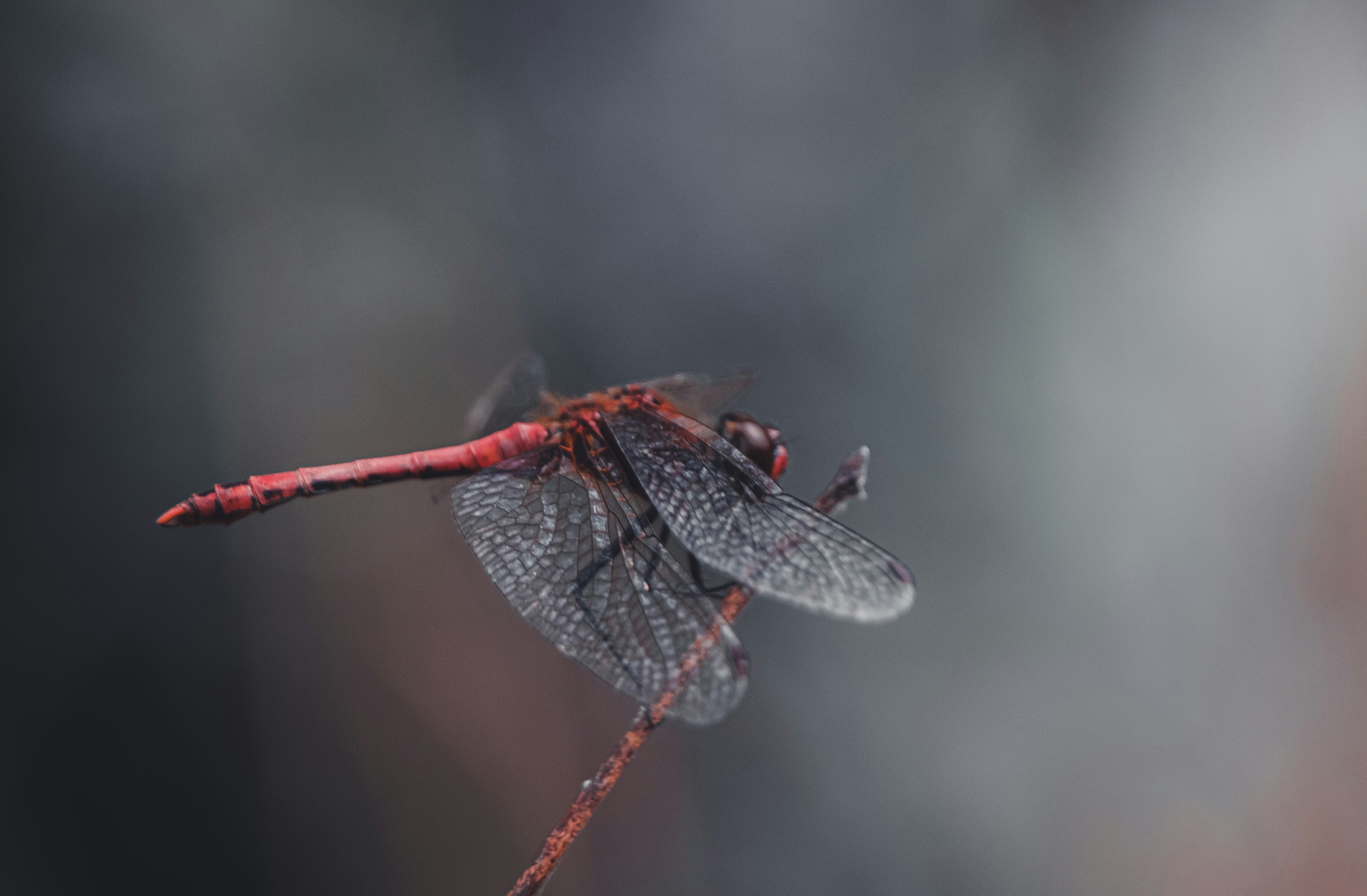 Photo by robinmathlener
