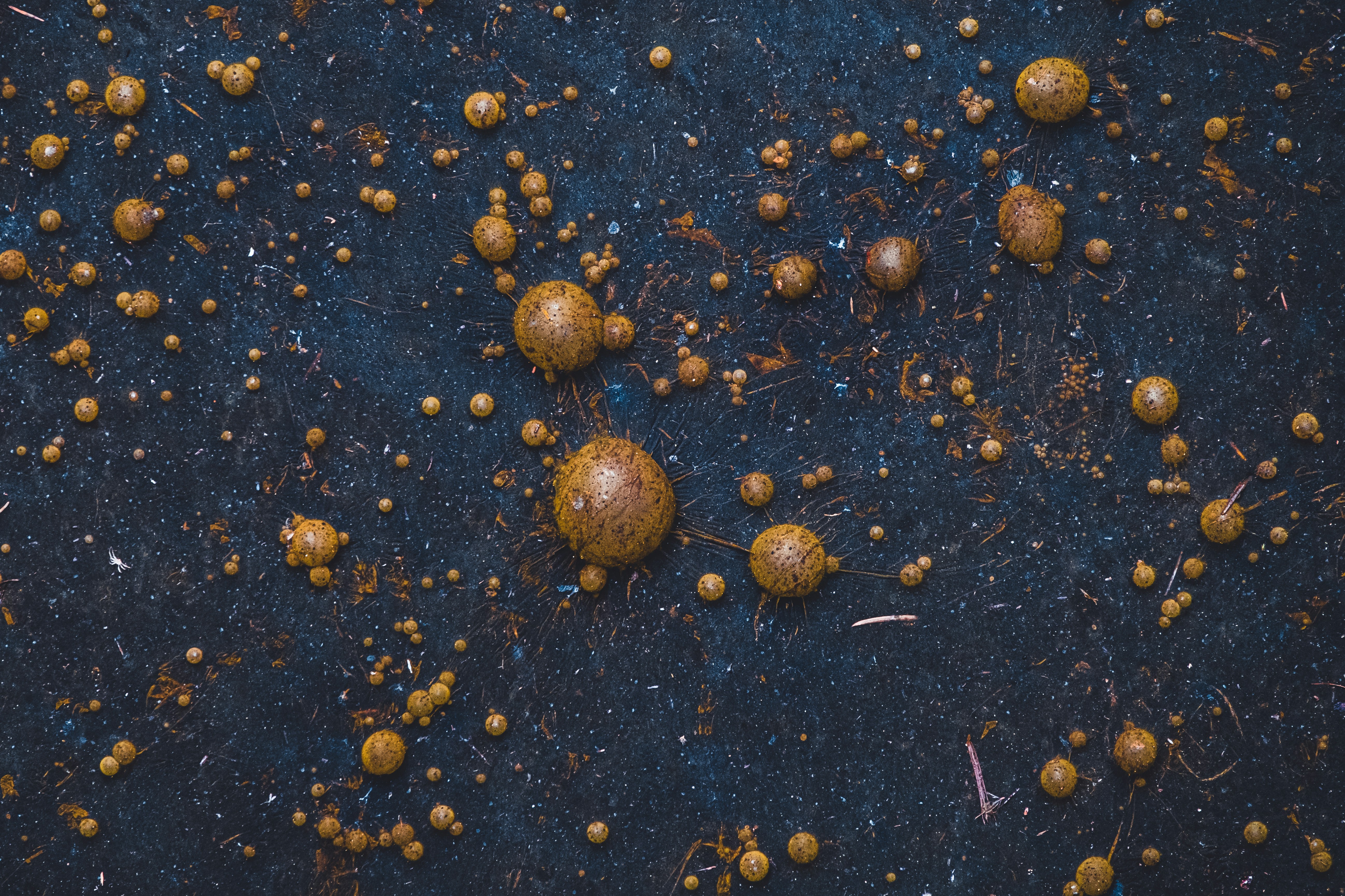 Photo by robinmathlener