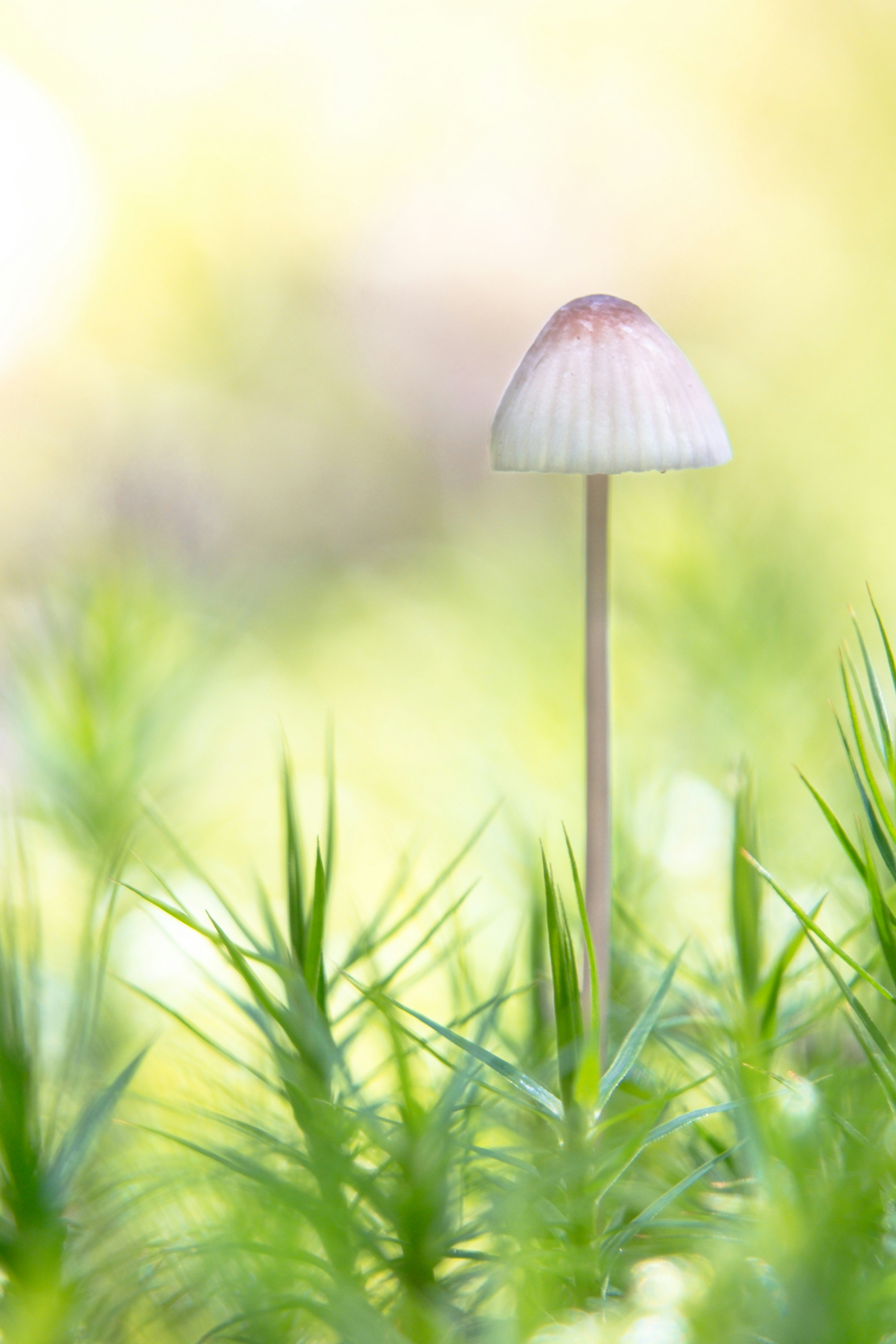 Photo by robinmathlener