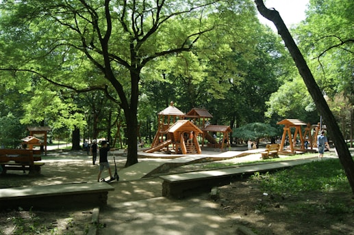 a park with a wooden play structure surrounded by trees