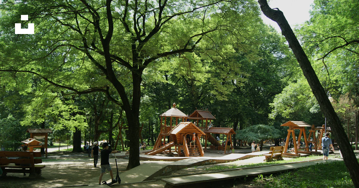 Parc Image Un parc avec une structure de jeux en bois entourée d’arbres photo ...
