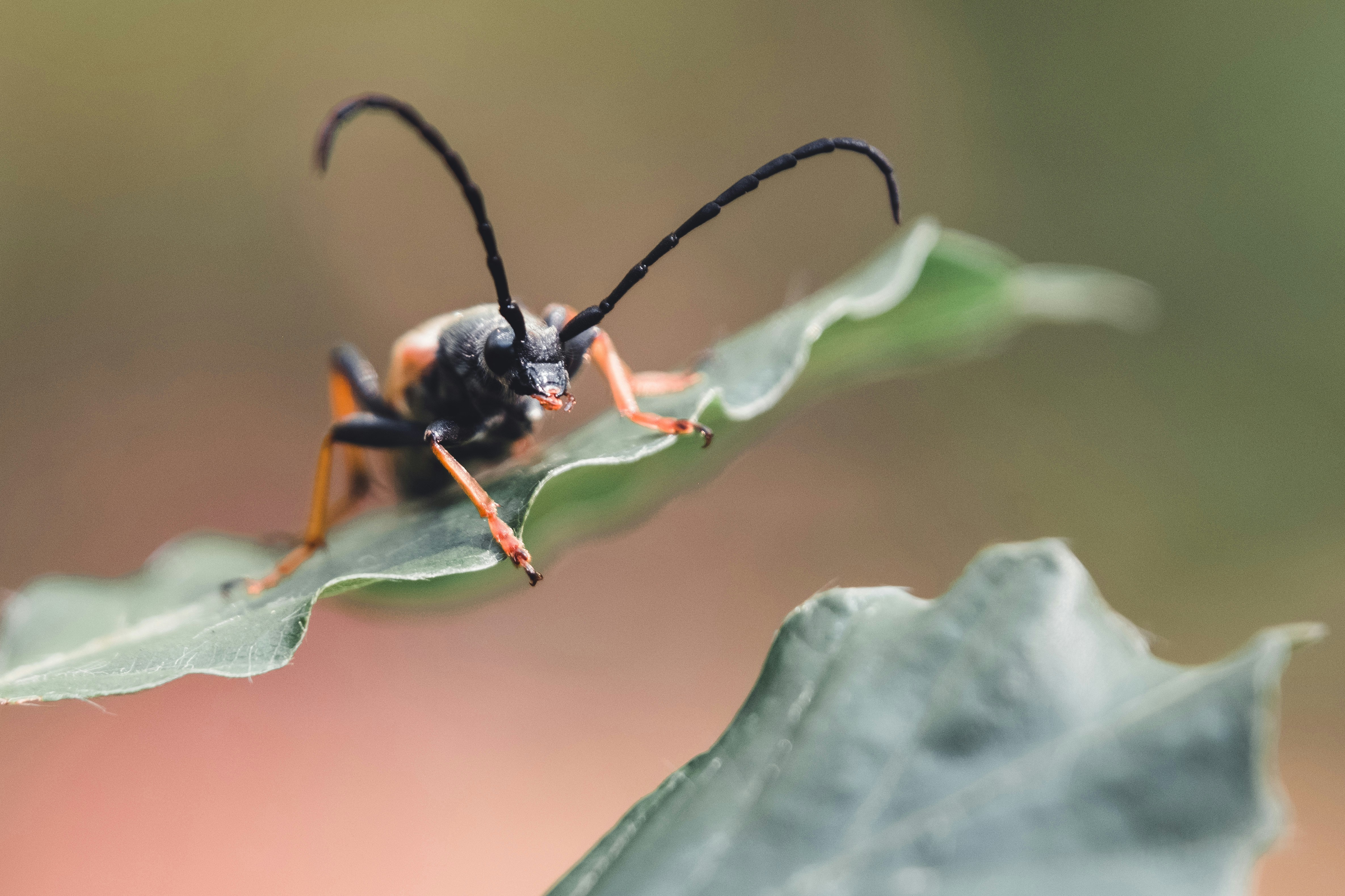 Photo by robinmathlener