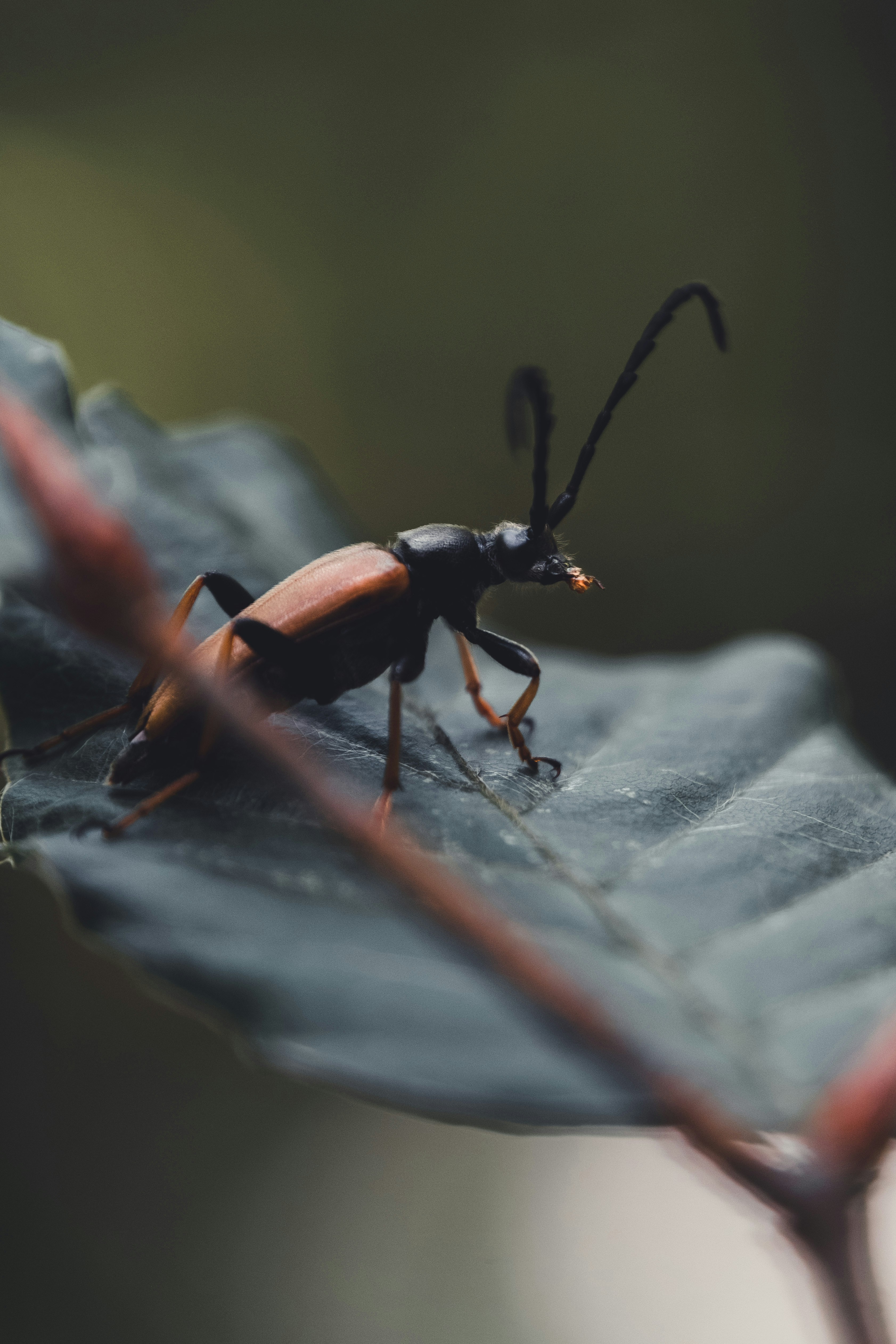 Photo by robinmathlener