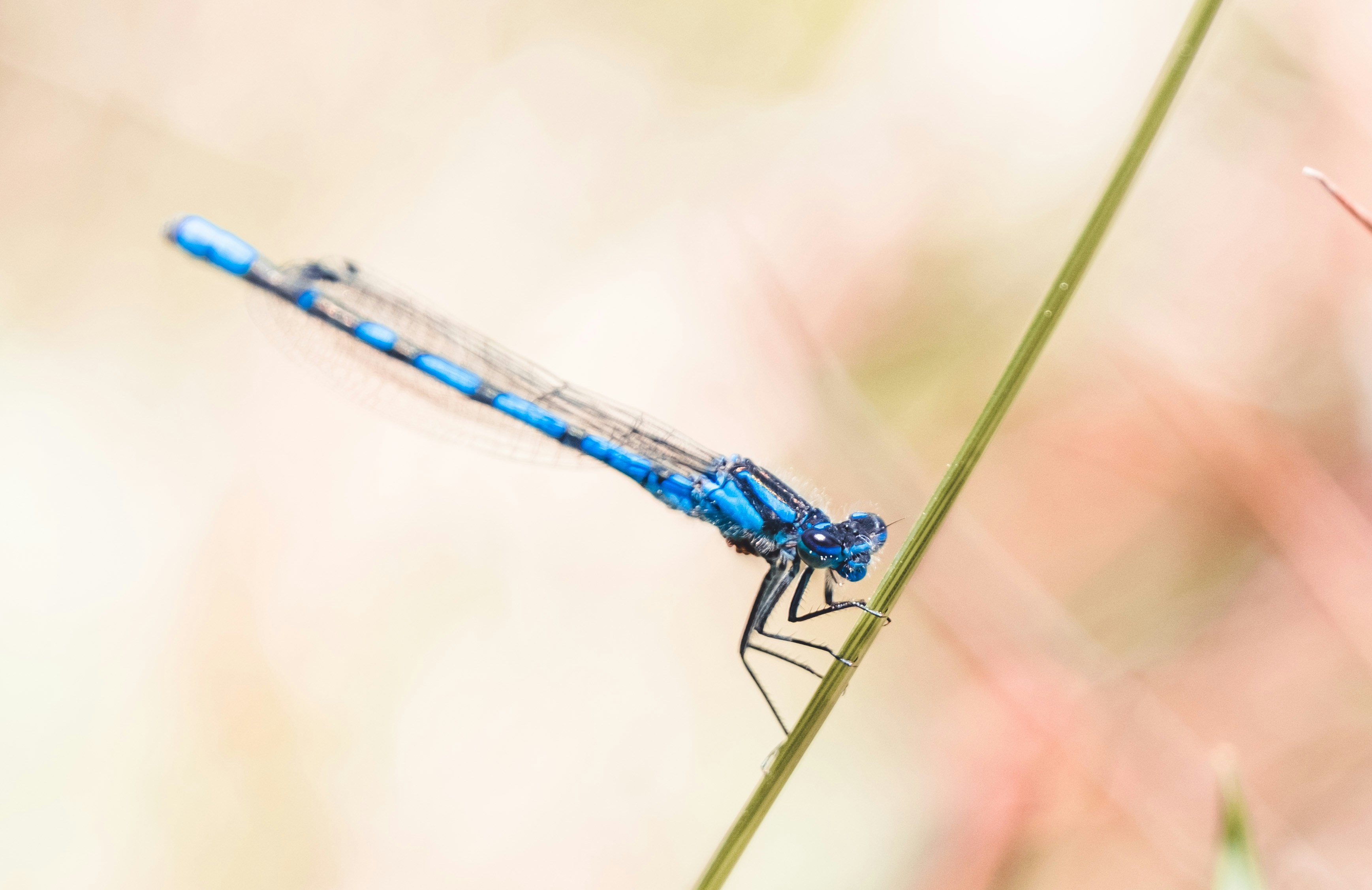 Photo by robinmathlener