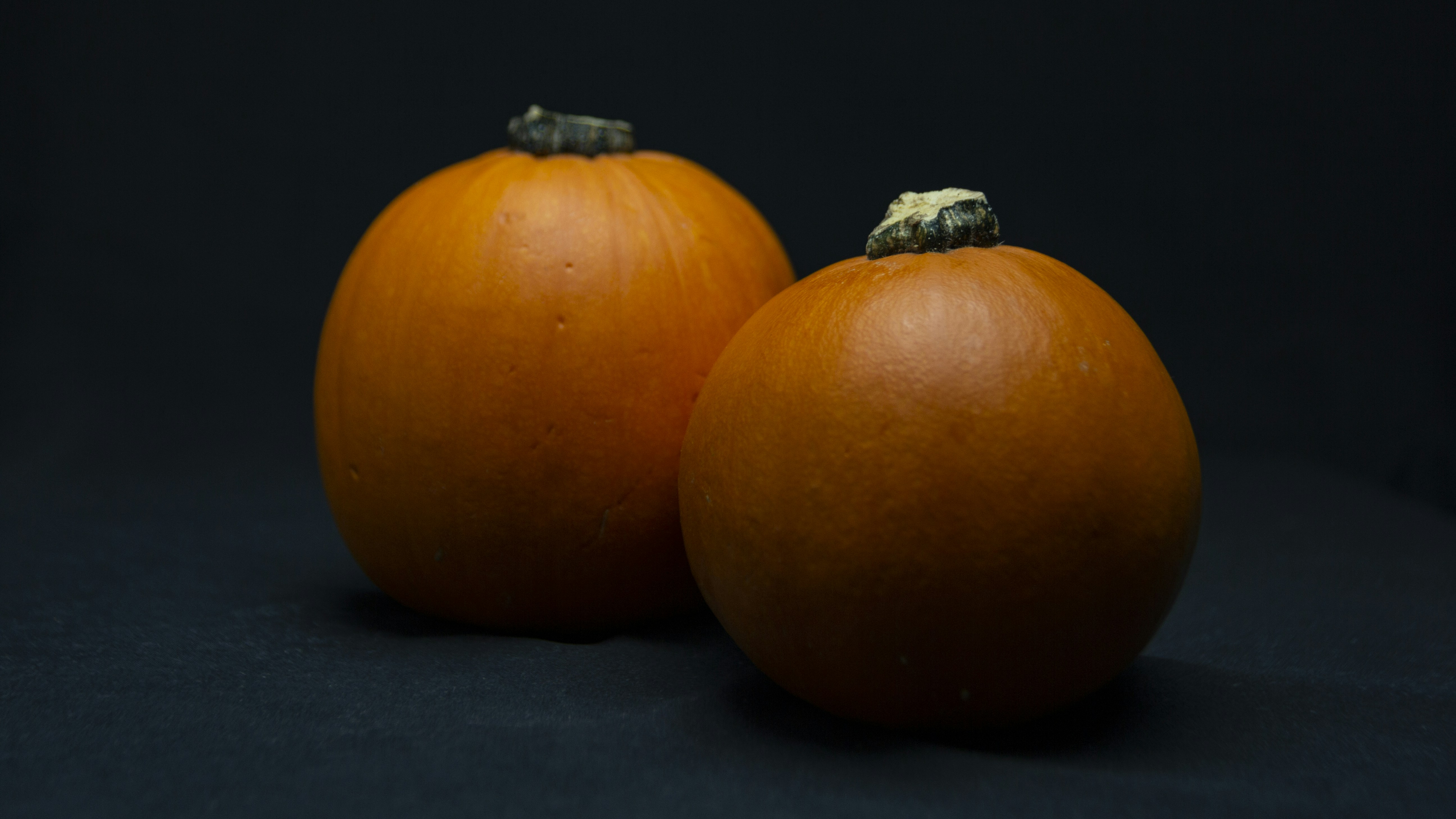 Photo by shutter_speed_