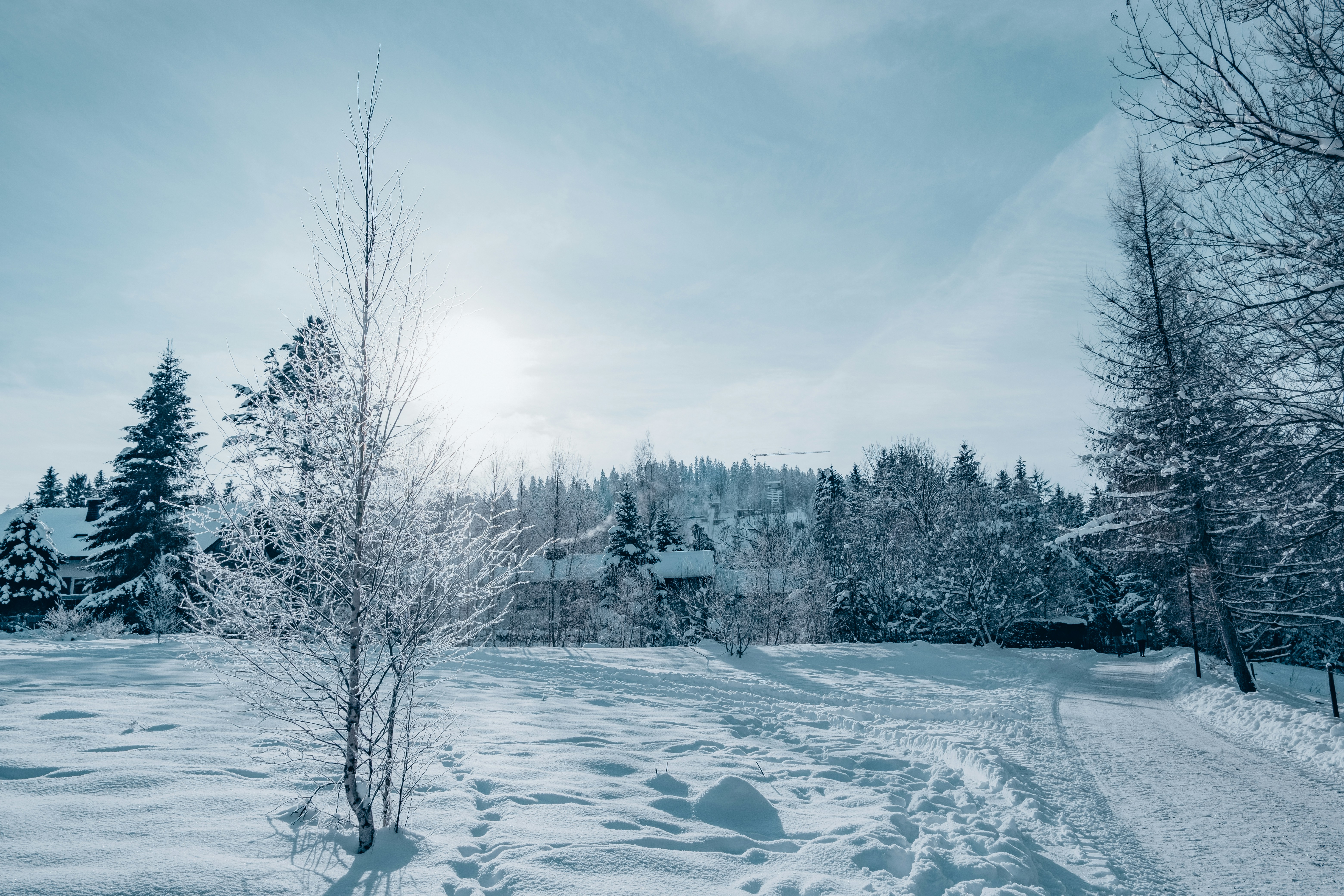 Photo by couleuroriginal