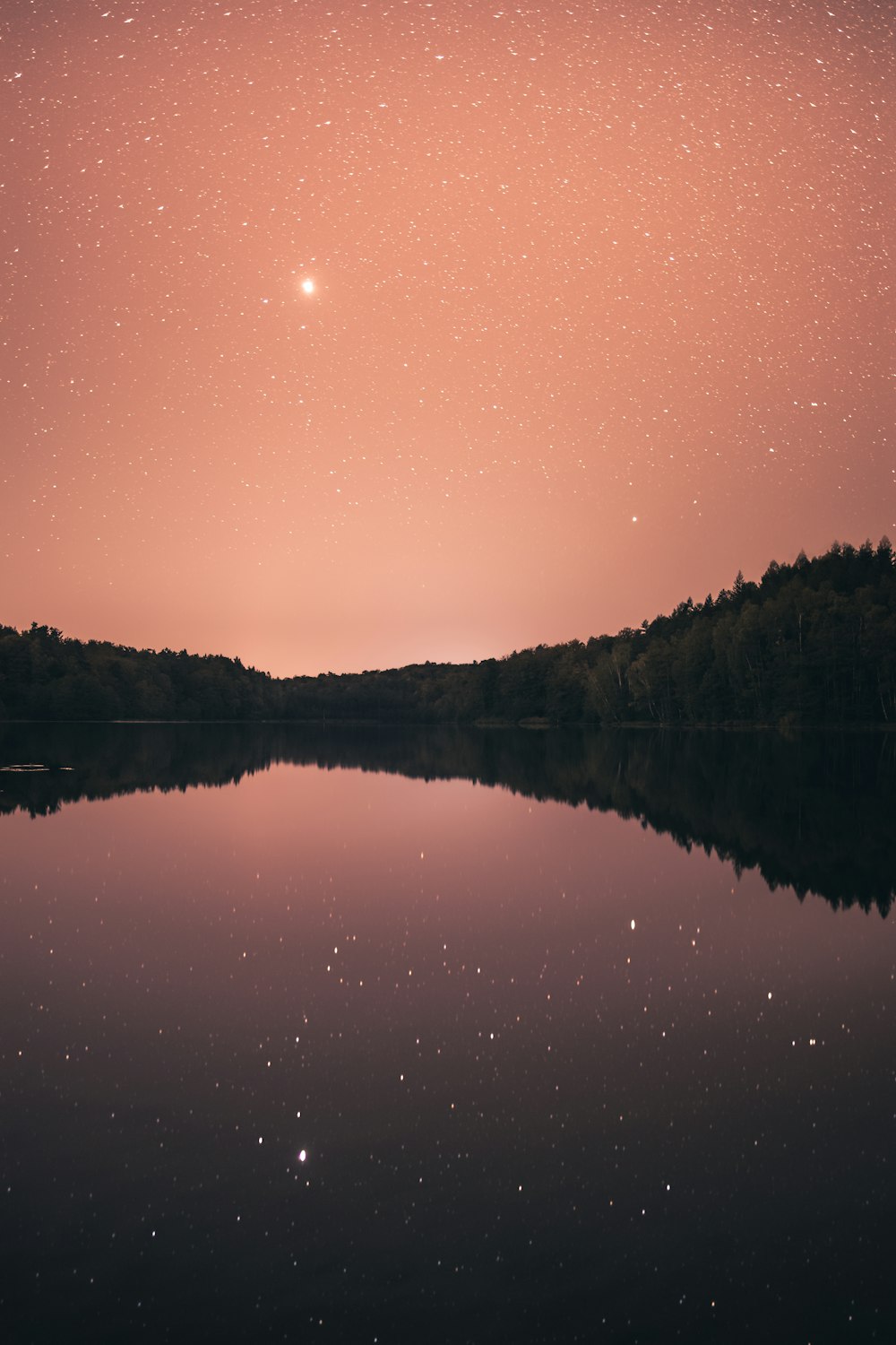a body of water surrounded by trees under a pink sky