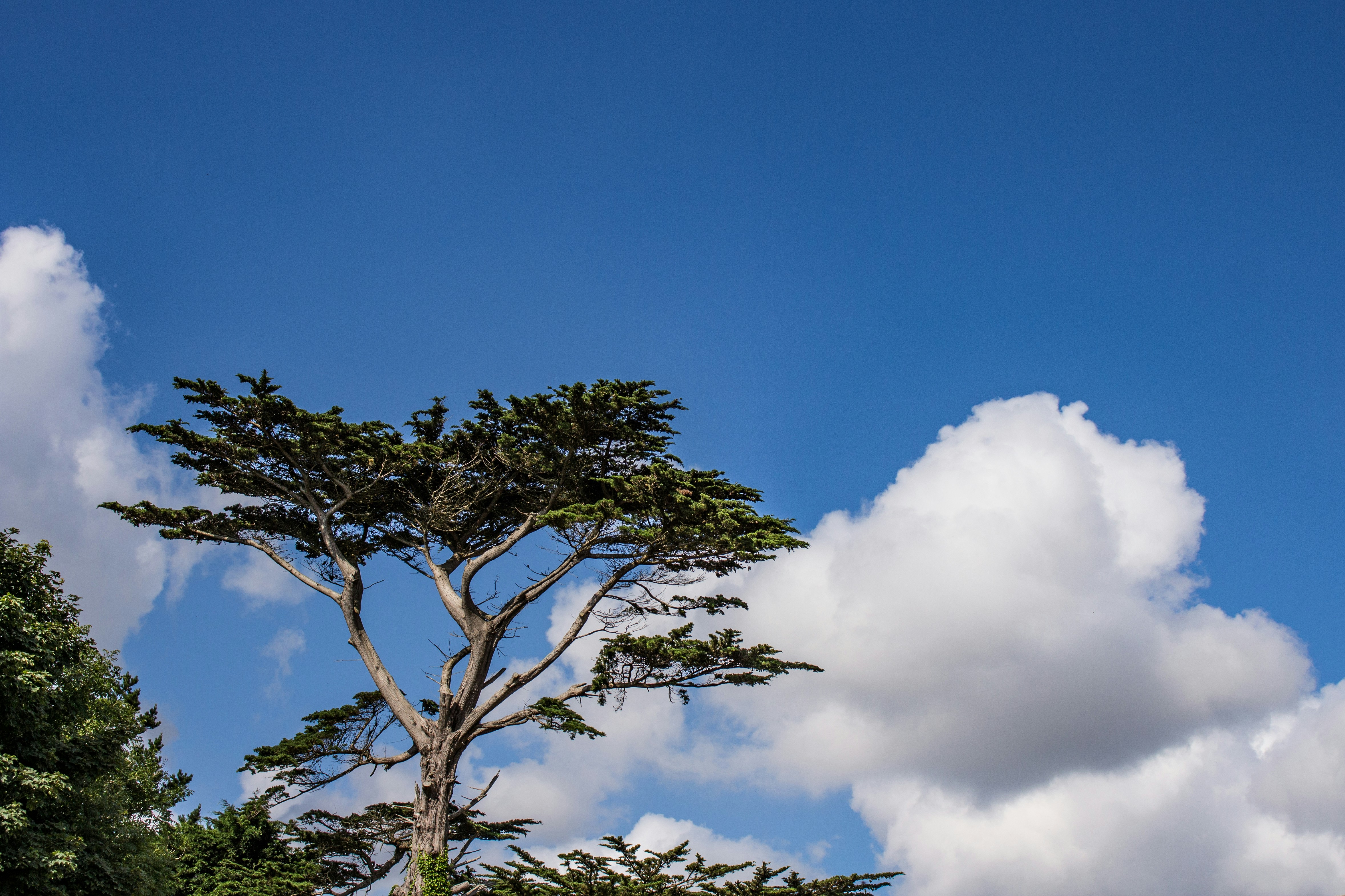 Photo by secondsight