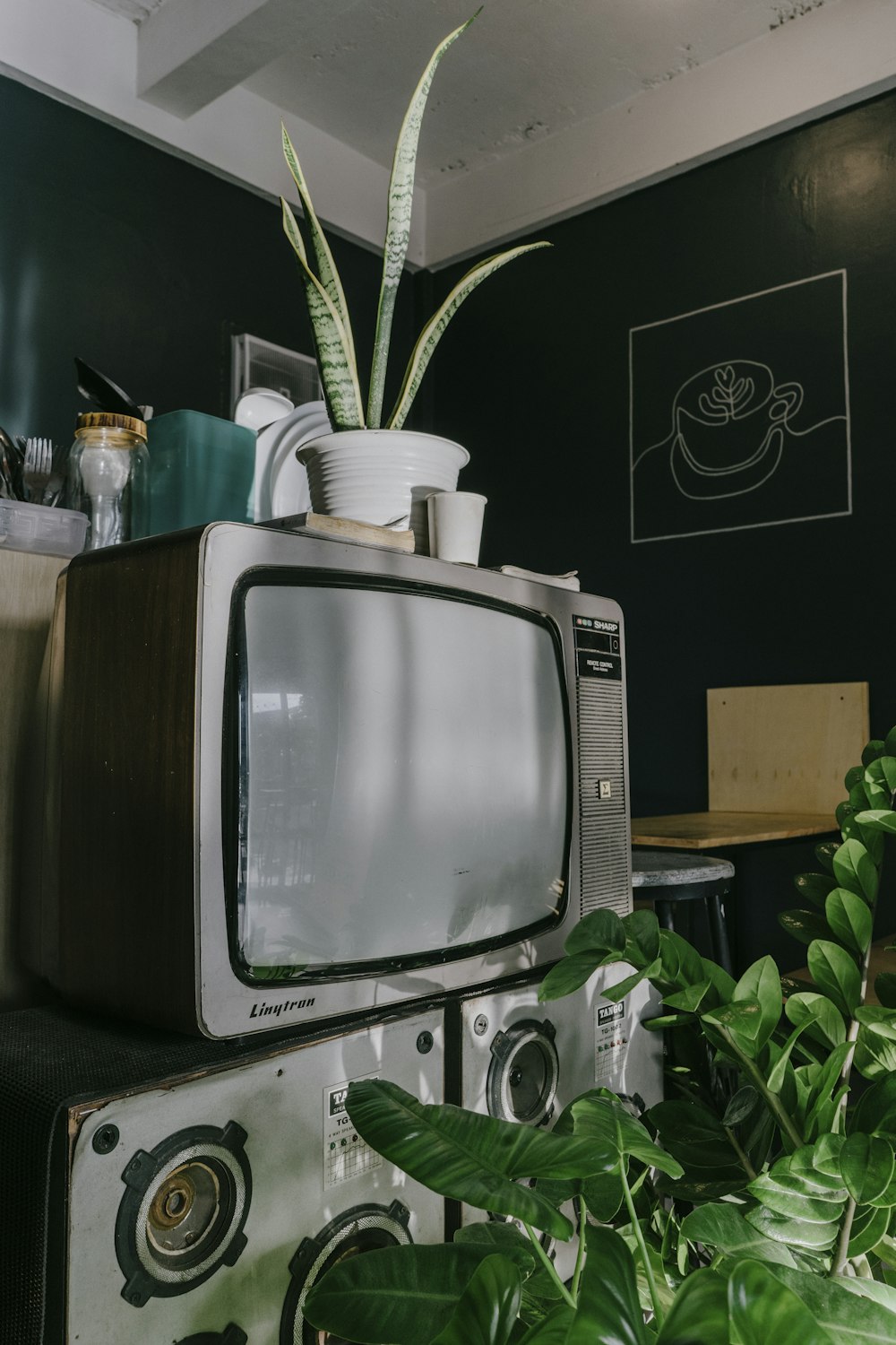 a television sitting on top of a table next to a potted plant