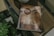 A book with a worn cover titled 'The Secret' by Rhonda Byrne is lying on a wooden surface. There are some green leaves partially visible at the bottom left corner, suggesting the presence of a plant nearby. The lighting and tone suggest a serene, contemplative atmosphere.