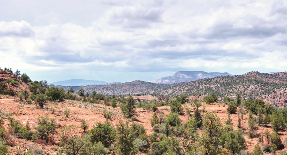 a scenic view of the mountains and trees