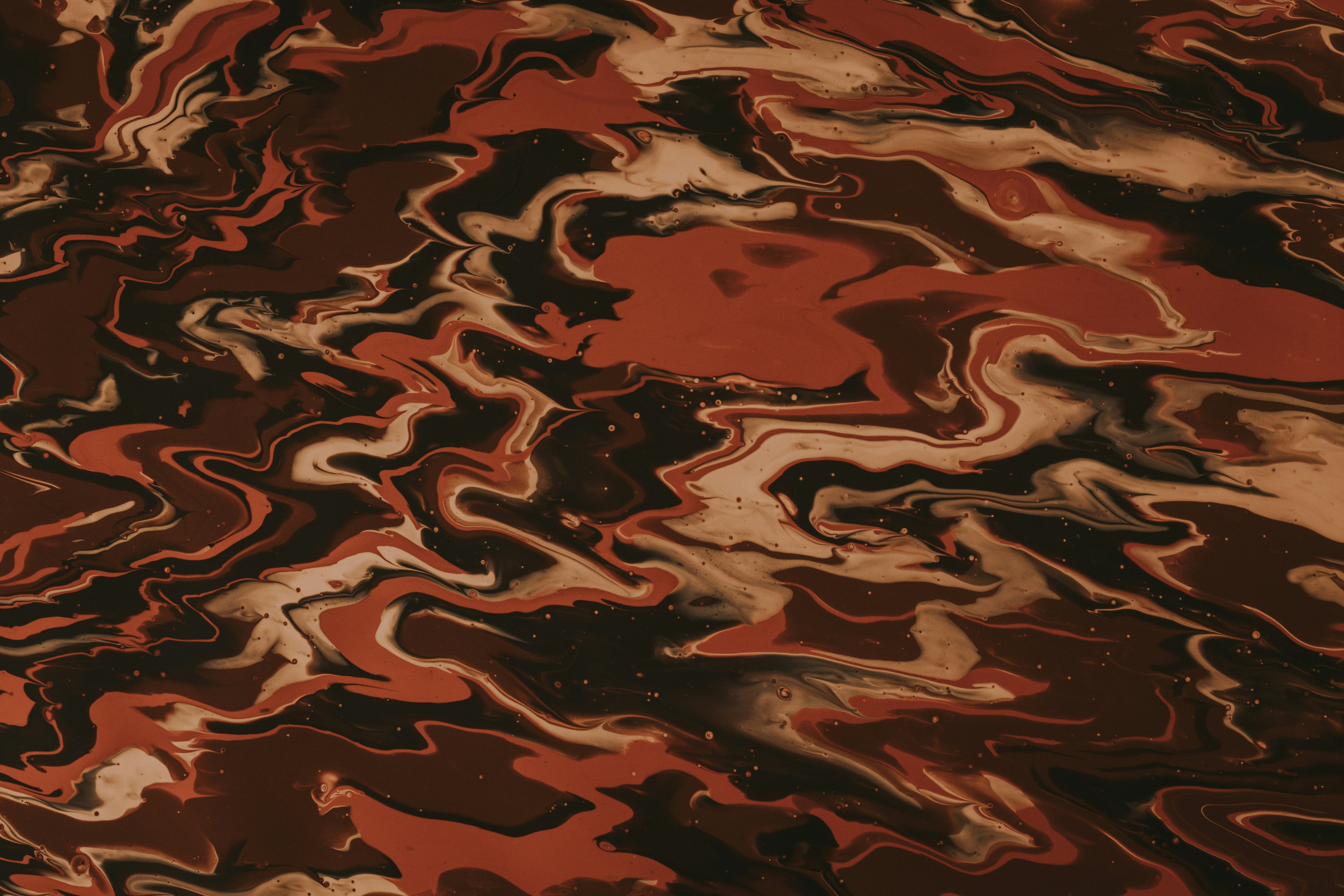 Photo by pawel_czerwinski