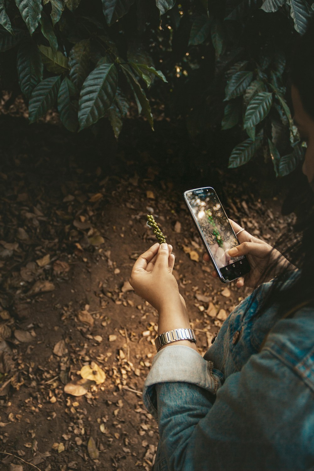 a person holding a cell phone in their hand