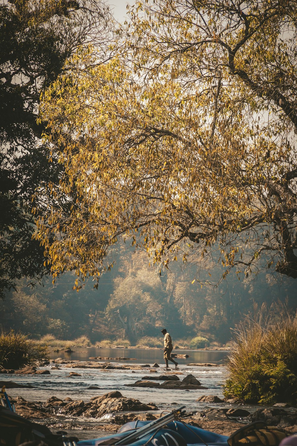 木々に囲まれた川で釣りをする男