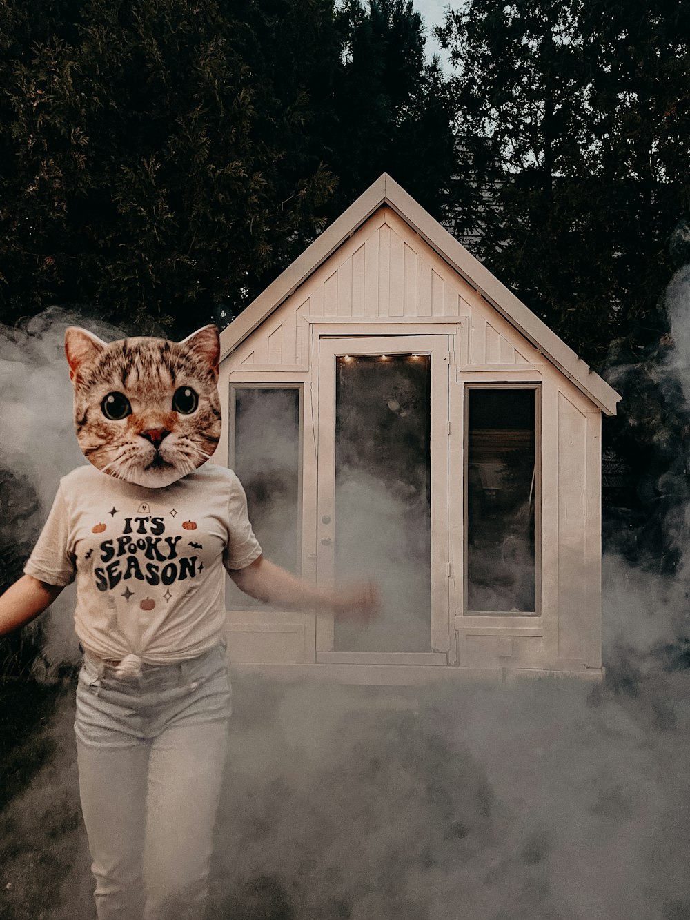 a cat wearing a t - shirt that says it's safe to smash