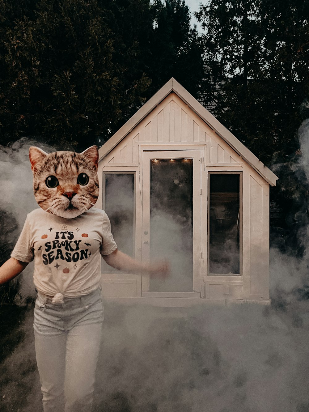 Un gato con una camiseta que dice que es seguro aplastar