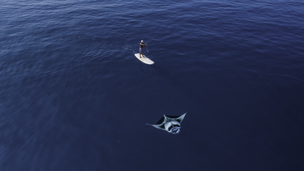 a man standing on a surfboard in the middle of the ocean