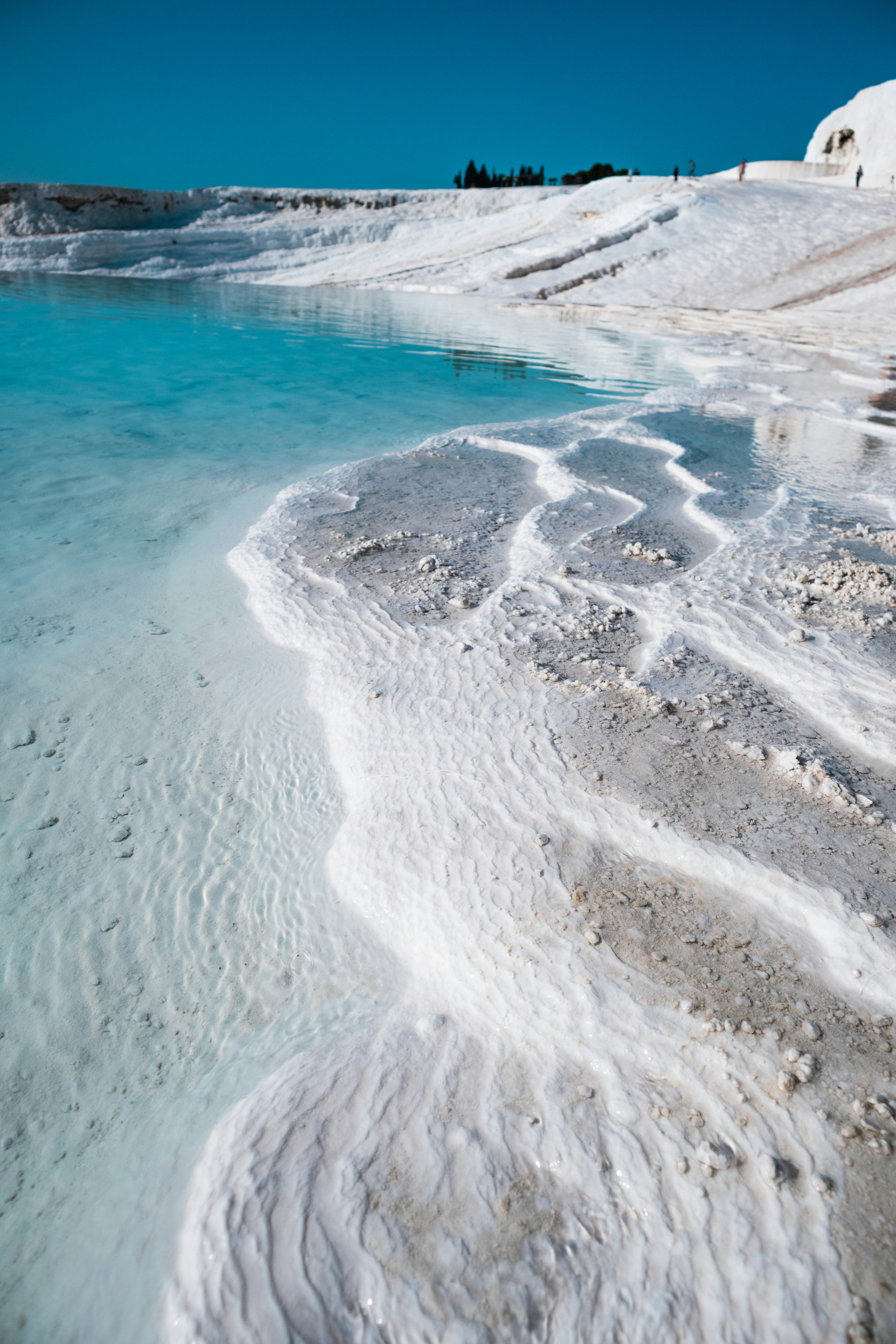 Photo by alexkurchev