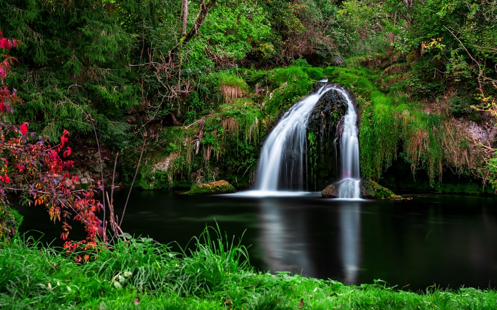 Une petite cascade au milieu d’une forêt