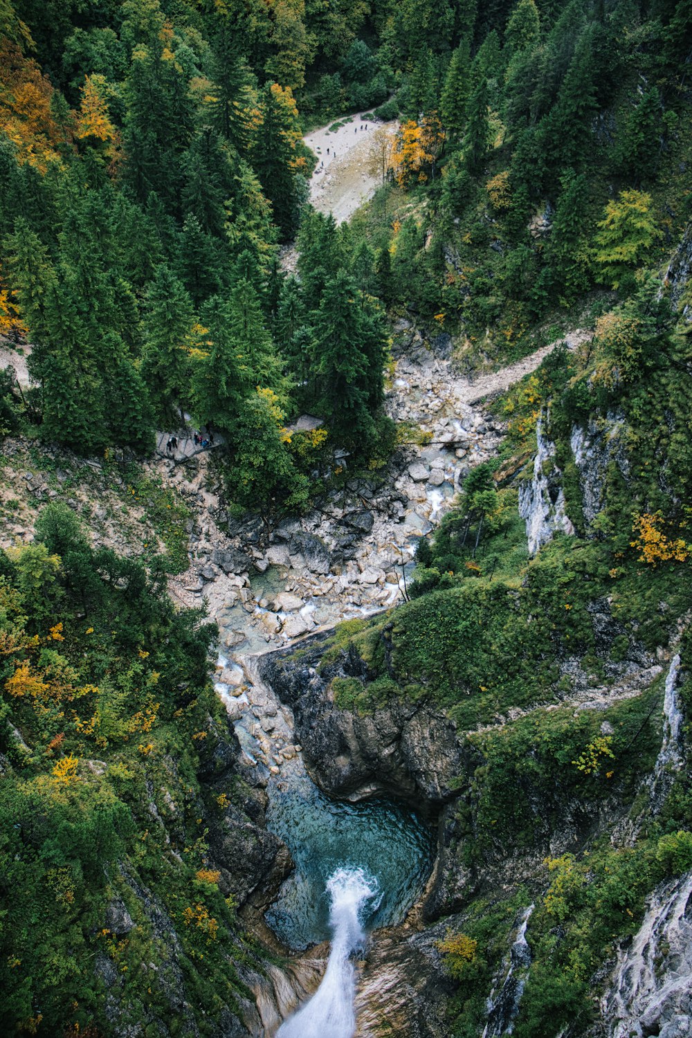 a river running through a lush green forest