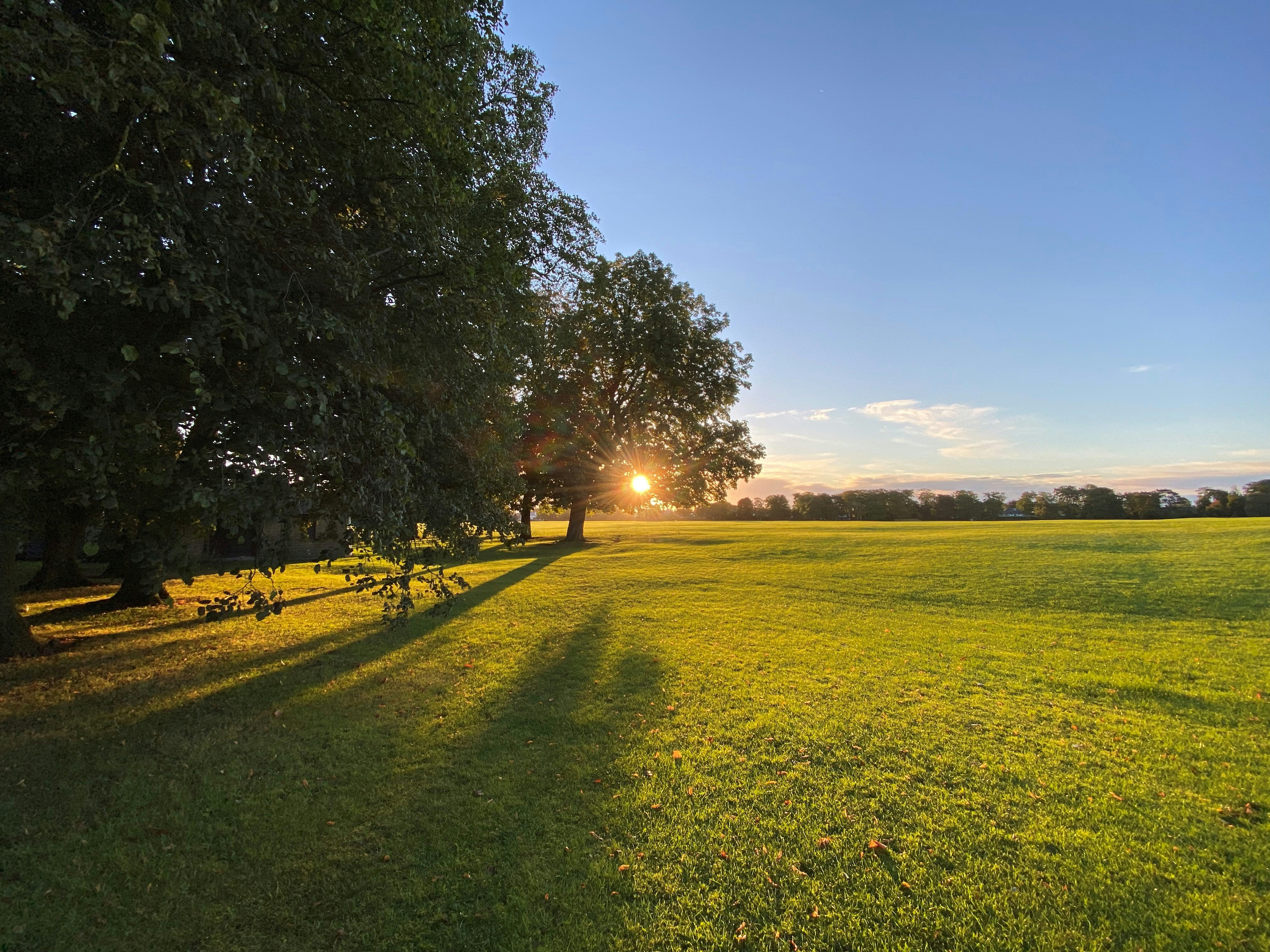 Photo by david_robert_clarke