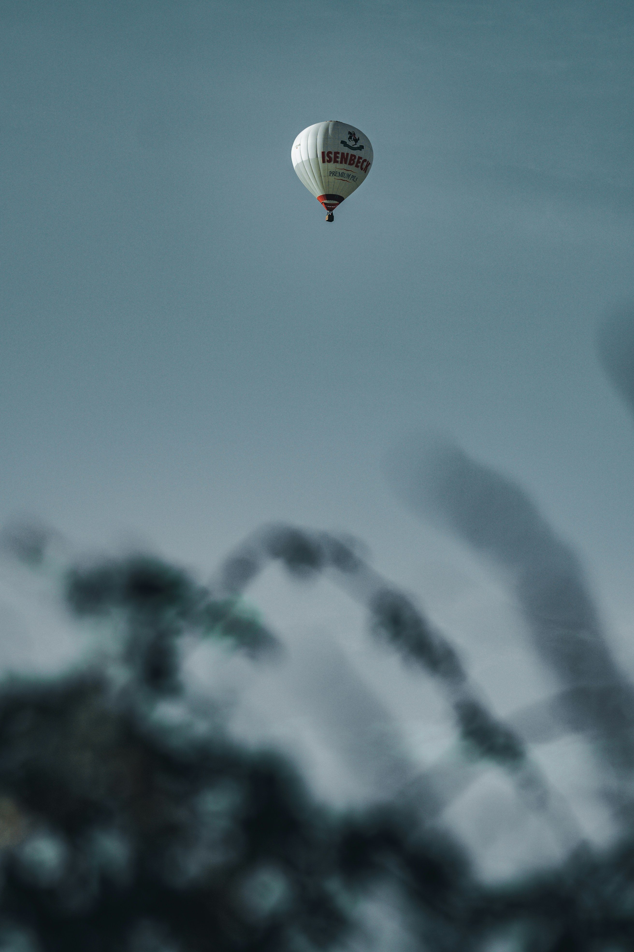 A hot air balloon flying through a cloudy sky photo – Free Animal Image ...